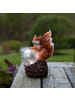 STAR Trading LED Solar-Figur , Eichhörnchen mit Glaskugel, Dämmerungssensor, bunt,
