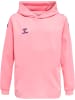 Hummel Kinder Hoodie in Braun
