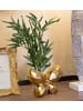 Mauro Ferretti Goldene Harzvase in Schmetterlingsform, 22,5 x 8 x 15 cm
