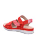 Hartjes Sandale in rot