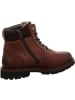 Sioux Stiefeletten/Boot in braun
