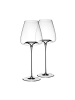 ZIEHER 2er Set Weingläser + Deckel Vision Intense 640 ml in transparent