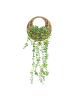 Atmosphera Créateur d'intérieur Künstlicher Eukalyptus in einem geflochtenen Topf in Grün, 70 cm