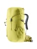 Deuter Climber 22 - Jr. Wanderrucksack 50 cm (papaya-redwood) in sprout-linden