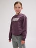 Hummel Hummel Sweatshirt Hmltukas Jungen in HUCKLEBERRY