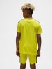 Hummel T-Shirt Hmlauthentic Kinder in BLAZING YELLOW