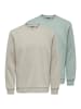 ONLY & SONS Sweatshirt Connor in Hellgrau / grün
