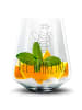 Mr. & Mrs. Panda Gin Glas Biene König mit Spruch in Transparent