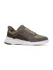 Geox Klassische Schnürschuhe in Grau