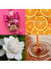 Juicy Couture Viva la Juicy Eau da Parfum Blumig Romantisch Damen EdP 100 ml