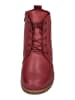 Andrea Conti Stiefeletten 0348718-024 in rot
