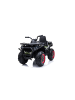 Wisam® Elektro-Ride-On-Quad XMX607 lackiert Spider