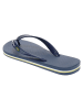 Ipanema Flipflops in Blau/Grün