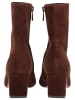 Steve Madden Stiefelette WILLAH Braun