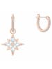 Swarovski Ohrringe für Damen in uni