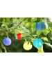 näve LED Lichterkette "PAPIERBALLON" in bunt - (L)225 cm x (B)15 cm x (H)15 cm
