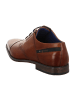 Bugatti Business Schnürschuhe in Braun