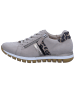 Gabor Sneaker in beige