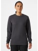 Helly Hansen Pullover "Classic Sweatshirt" in Grau
