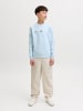 JACK & JONES Junior Sweatshirt in Omphalodes