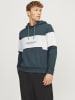 Jack & Jones Kapuzenpullover in Magical Forest