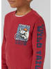 s.Oliver Sweatshirt  in  3407_rot