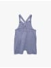 KOTON KİTTEL in Blau Gestreift