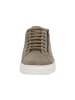 Solidus Sneaker Low in braun