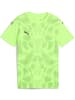Puma Sportshirt "TeamUltimate Jersey Jr" in Grün
