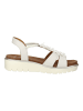 ara Sandalen in Cream