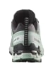 SALOMON Trailrunning-Schuh XA PRO 3D V9 GORE-TEX in quiet shade/lily pad/blue haze