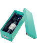 Leitz Ablagebox Click & Store CD eisblau