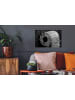 OnlyWow Wandtattoo Toilettenpapier