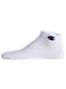 Champion Socken 12er Pack in Blau/Weiß/Grau