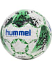 Hummel Fußball Hmlinspire (Zubehör) in GREEN/WHITE/BLUE