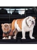 relaxdays Hundegitter Auto in Schwarz