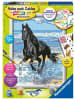 Ravensburger Verlag GmbH Spiel - CreArt, Malen nach Zahlen Kinder - Pferd am Strand