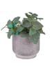 Butlers Blumenübertopf SPECKLE in Violett