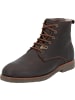 PANAMA JACK Stiefeletten in Castano/Chestnut