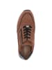 Caprice Sneaker in MUSCAT COMB