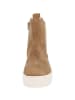 Gabor Ankle Boots in lion (creme)