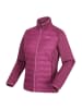 Regatta Softshelljacke Clumber III Hybrid in rot