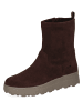 Caprice Stiefeletten braun