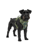 Reichstadt Hundegeschirr S in Camouflage Green
