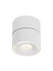 paulmann LED Deckenleuchte Spircle