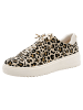 Marco Tozzi Sneaker in LEO CREAM
