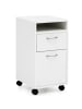 KADIMA DESIGN Rollcontainer | Weiß, 33x63x38cm, Schubladen, Tür