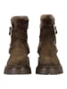 Steve Madden Stiefelette in Braun