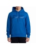 Diesel Hoodie in Blue