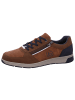 Bugatti Sneaker Arriba in Braun